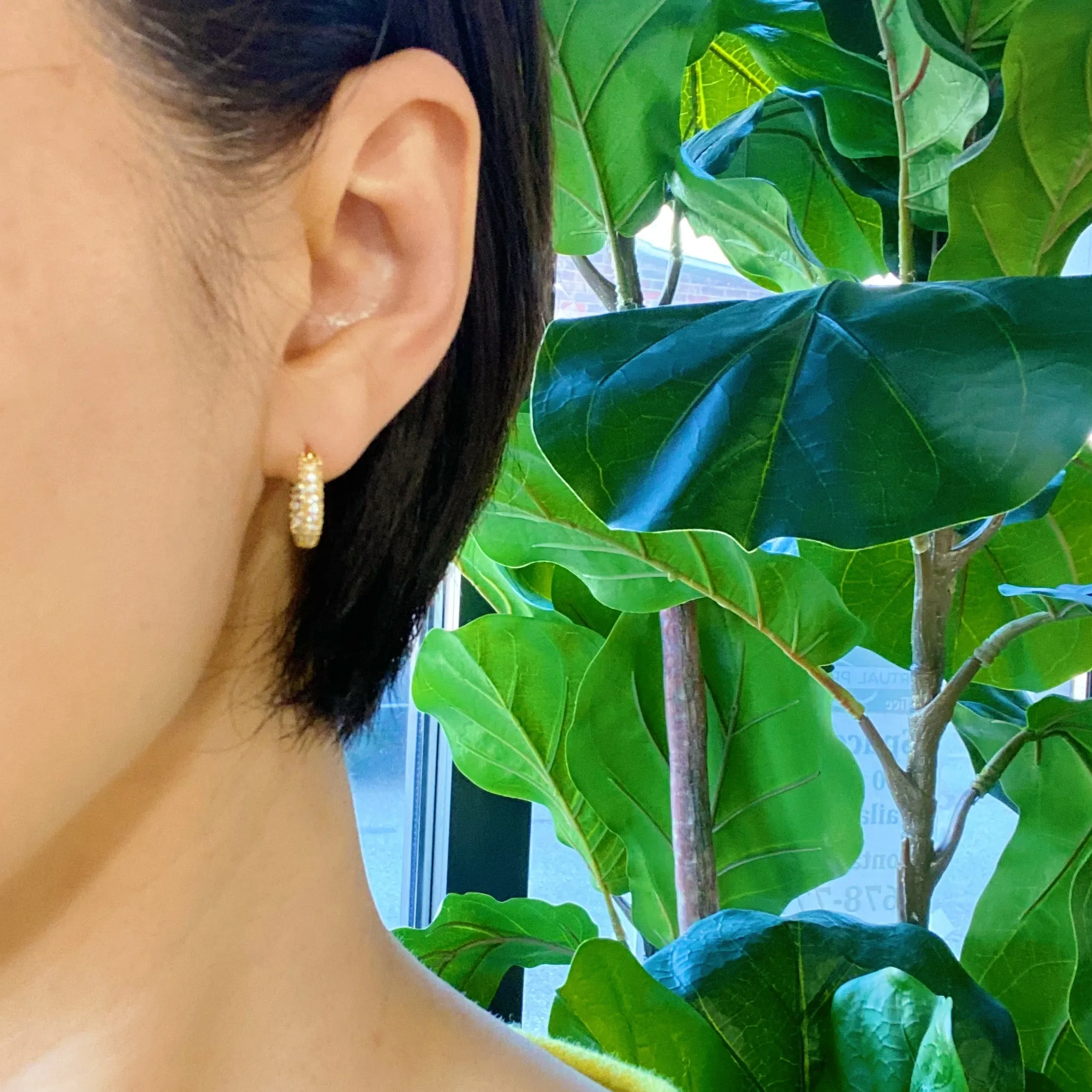 Elegant Shine Hoop Earrings